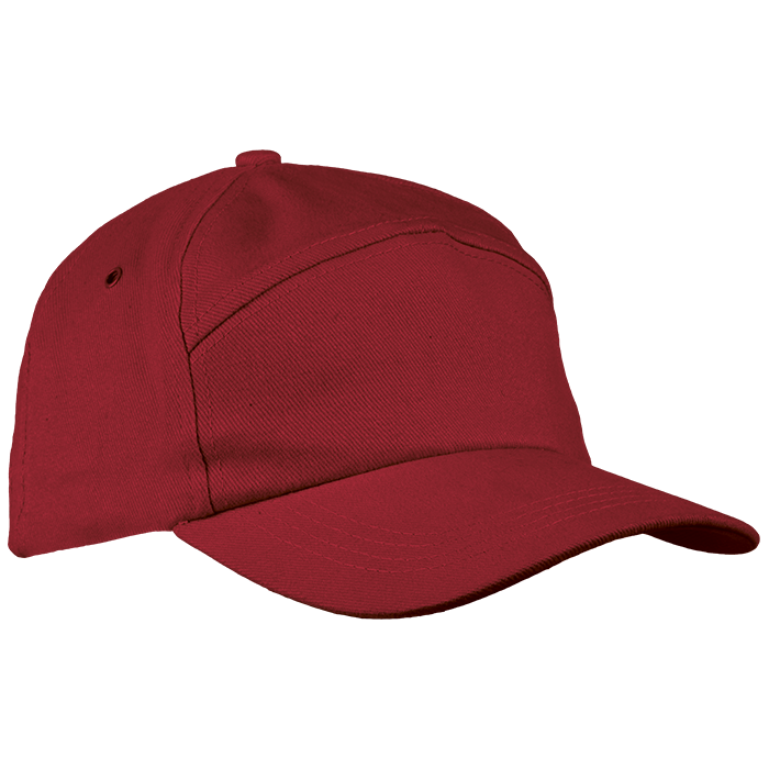 6 Panel Carbon Cap