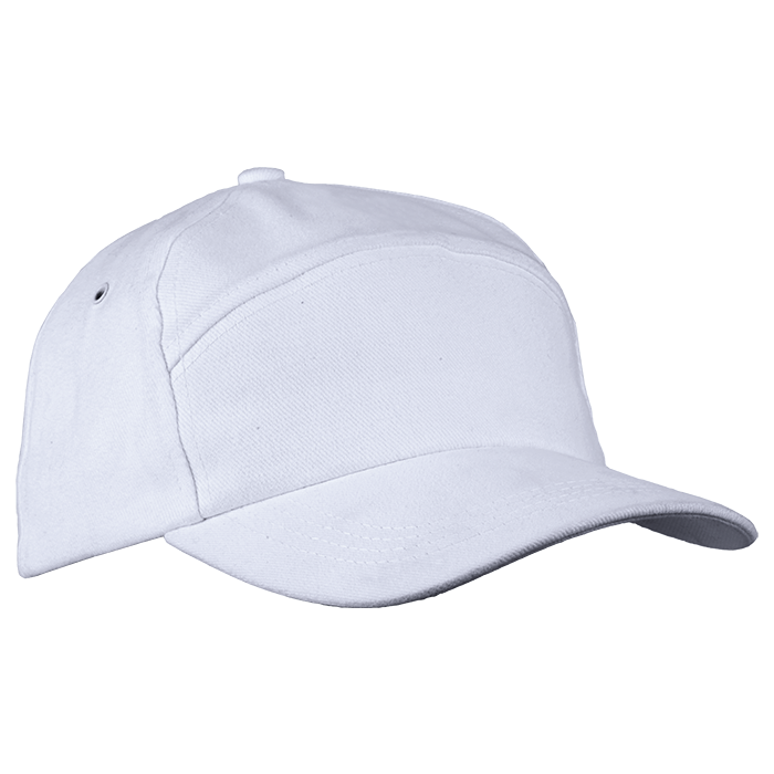 6 Panel Carbon Cap