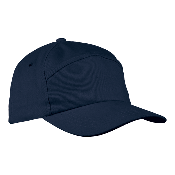 6 Panel Carbon Cap