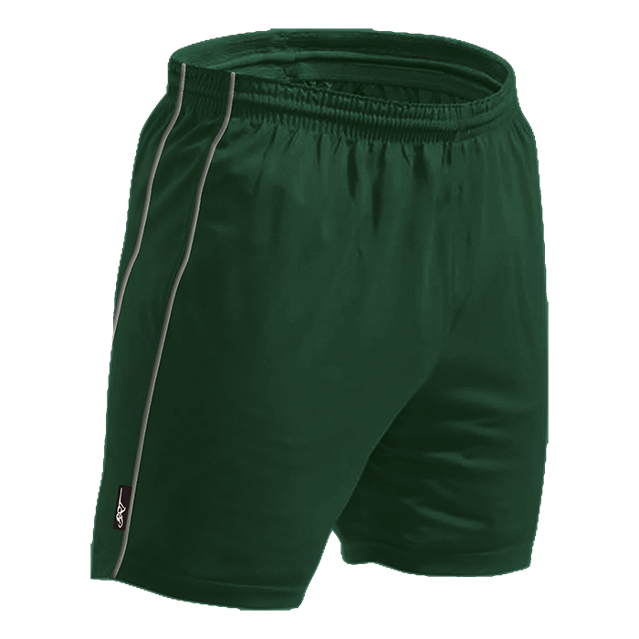 BRT Reflect Shorts