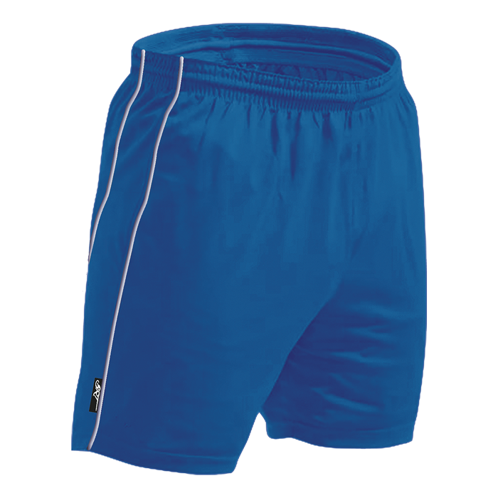 BRT Reflect Shorts